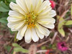 -1369冰火锅(木北路店)