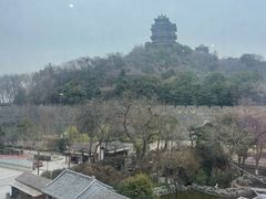-七欣天香辣蟹火锅(南京建宁路大观天地店)