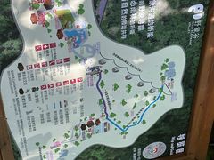 -野象谷景区