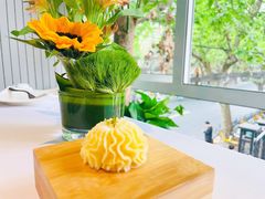 -蝶舍·MAISON PAPILLON