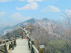 -大岭沟猕猴桃谷风景区