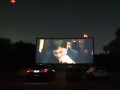 -枫花园汽车电影院(朝阳公园店)