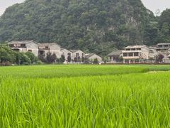 -高荡千年布依古寨旅游景区