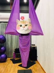 点击看大图 -云上瑜伽·普拉提·维密馆