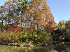 -瀛洲公园
