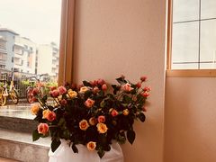 -simple hut简屋咖啡