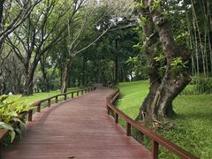 -云溪植物园