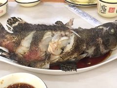 石斑鱼-南海渔家•海鲜•正宗海南菜(海棠湾店)