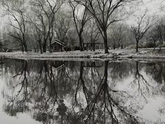 -中央广播电视塔