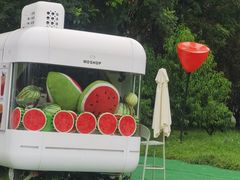 -朝阳公园游乐园