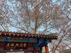-百脉泉景区