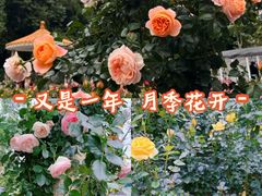 -人民公园(罗湖区)