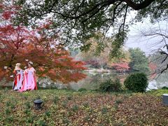 -西湖外事游船(花港观鱼码头)