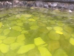 -杭州第一世界大酒店·云曼温泉
