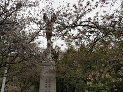 -武汉大学-樱园