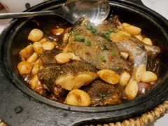 砂锅碟鱼头-双合园·海鲜水饺青岛菜(万佳广场店)