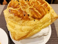-齐河孔雀王温泉酒店·金孔雀自助百汇