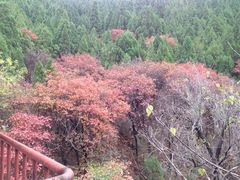 波罗峪休闲度假区-波罗峪风景区