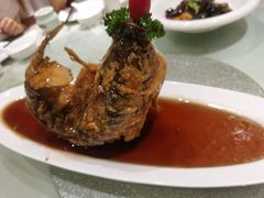糖醋鲤鱼-城南往事·鲁菜济南菜(龙奥万科店)