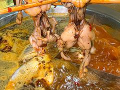 -铭记蛙小仙·活蛙畅享(CBD万达广场店)