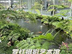 -罗红摄影艺术馆