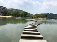 -上海佘山世茂艾美酒店