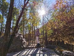 -京东石林峡风景区