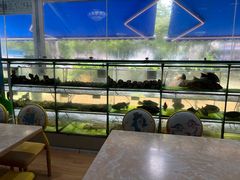 -小海豚•老字号海鲜餐厅(天涯店)