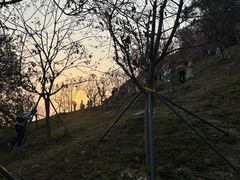 -小南山公园