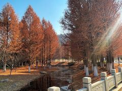 -南山风景名胜区