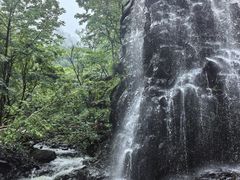 -凤凰山国家森林公园