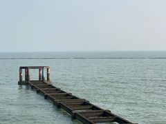 -贡湖湾湿地公园