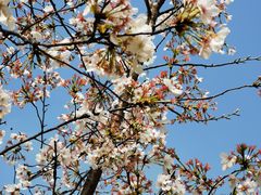 -UNIUNI(凯瑟琳广场店)