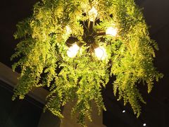 -兰菊私厨