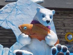 -海合安武汉极地海洋公园