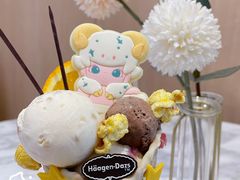 DIMOO系列华夫筒冰淇淋-哈根达斯(金湖广场店)