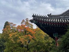 -香山公园