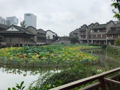 -龙潭水乡