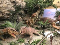 -国家自然博物馆