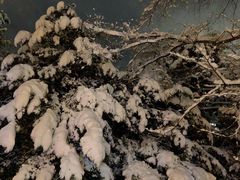 -北海道厅旧本厅舍(旧本庁舎)