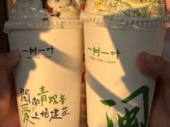-一树一叶·福建茶档(石鼓路店)