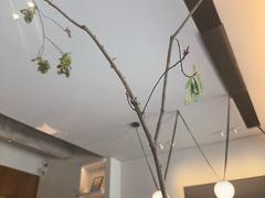 -溯洄咖啡VORTEX COFFEE