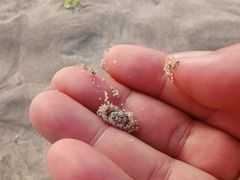 -咸德海水浴场