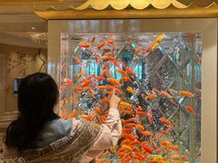 -永利澳门酒店
