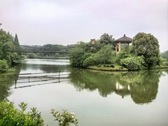 -宜兴龙背山森林公园