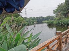 -桤木河湿地公园