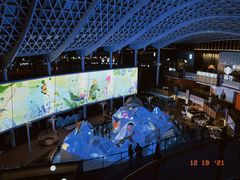 -CGV星星影城(颐堤港ScreenX店)