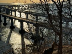 -星海湾跨海大桥
