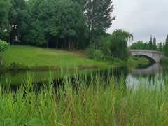 -眉山湿地公园(东坡区)