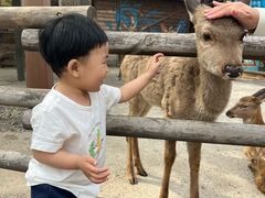 -哈尔滨波塞冬海底世界